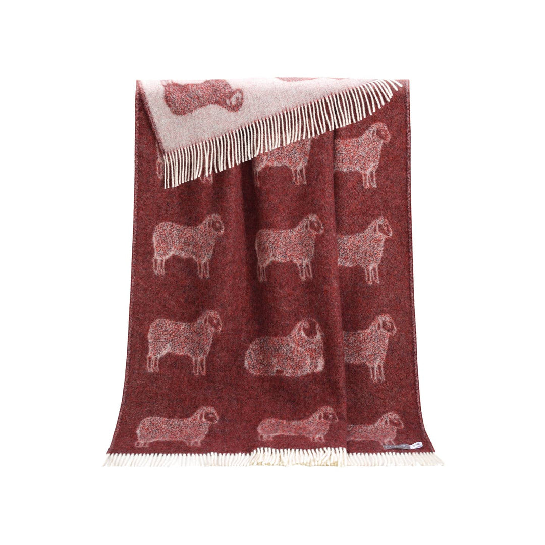 Sheep Burgundy Wool Throw