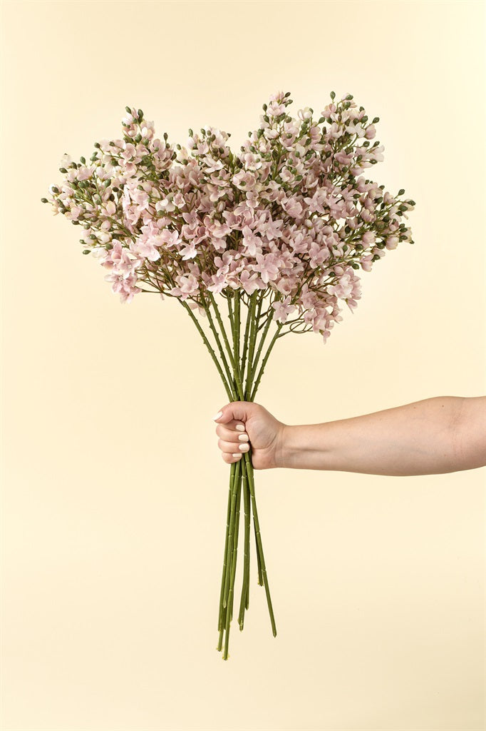 Delphinium Stem, Pink