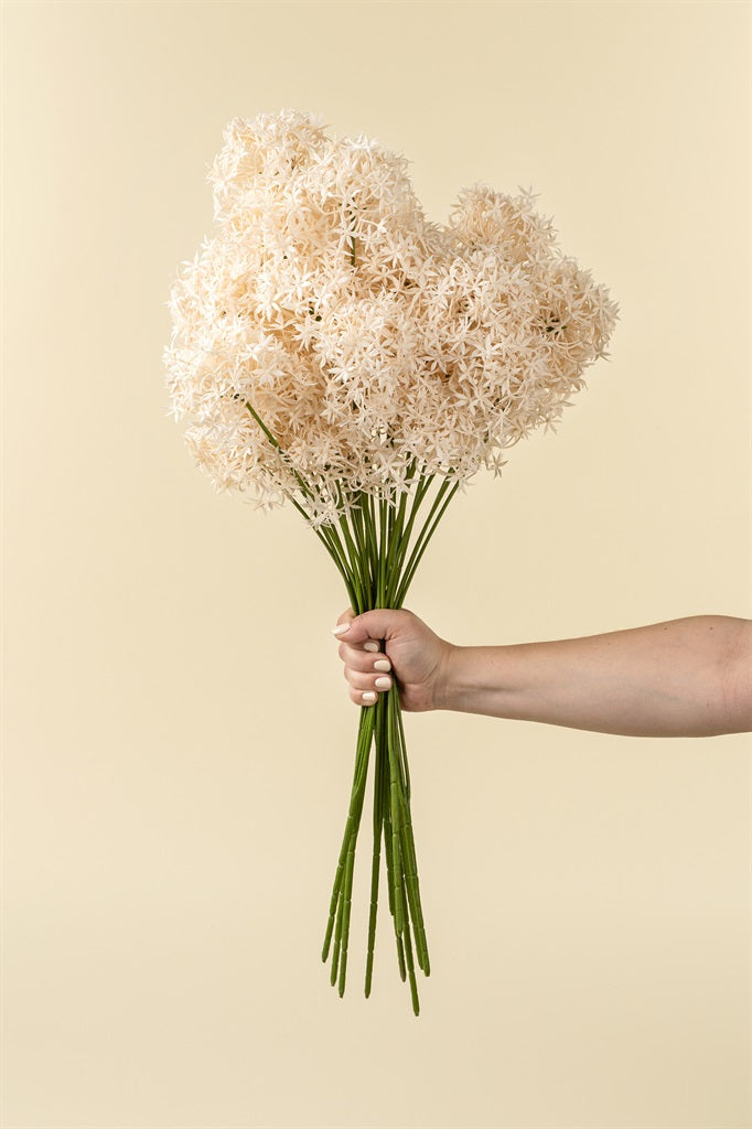 Allium Floral Spray, Champagne