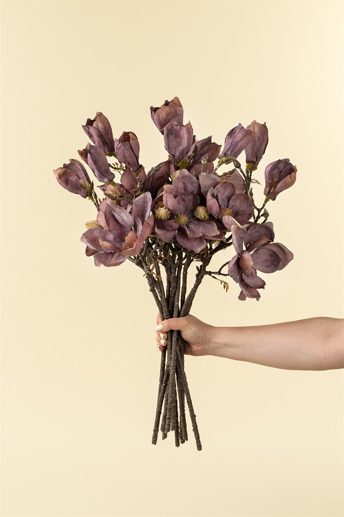 Magnolia Branch, Purple