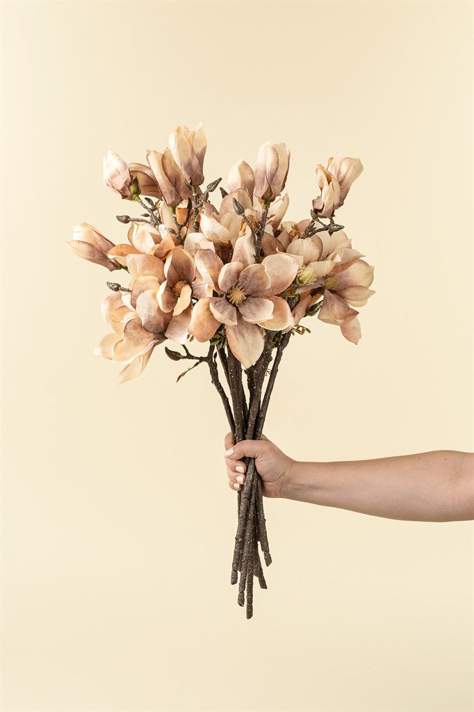 Magnolia Branch, Cream