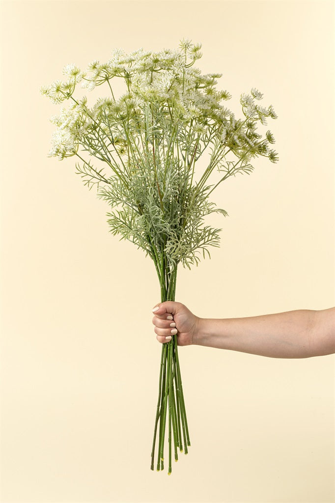 Queen Anne's Lace Spray, White