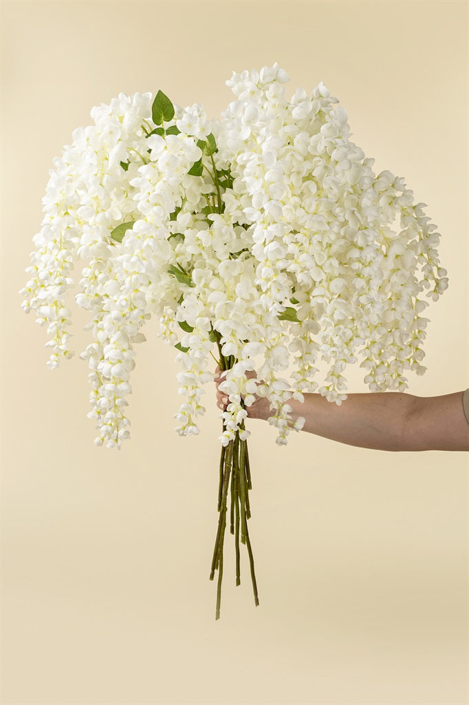 White Wisteria Cascade