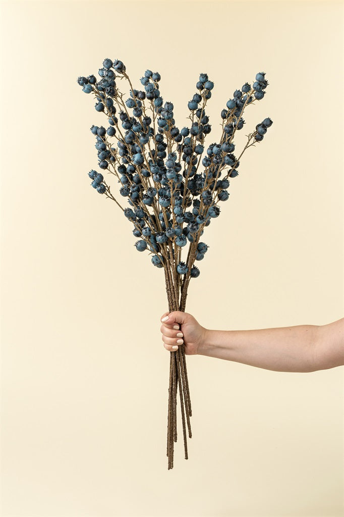 Blueberry Branch