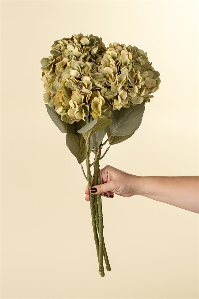 Faded Hydrangea Stem, Green