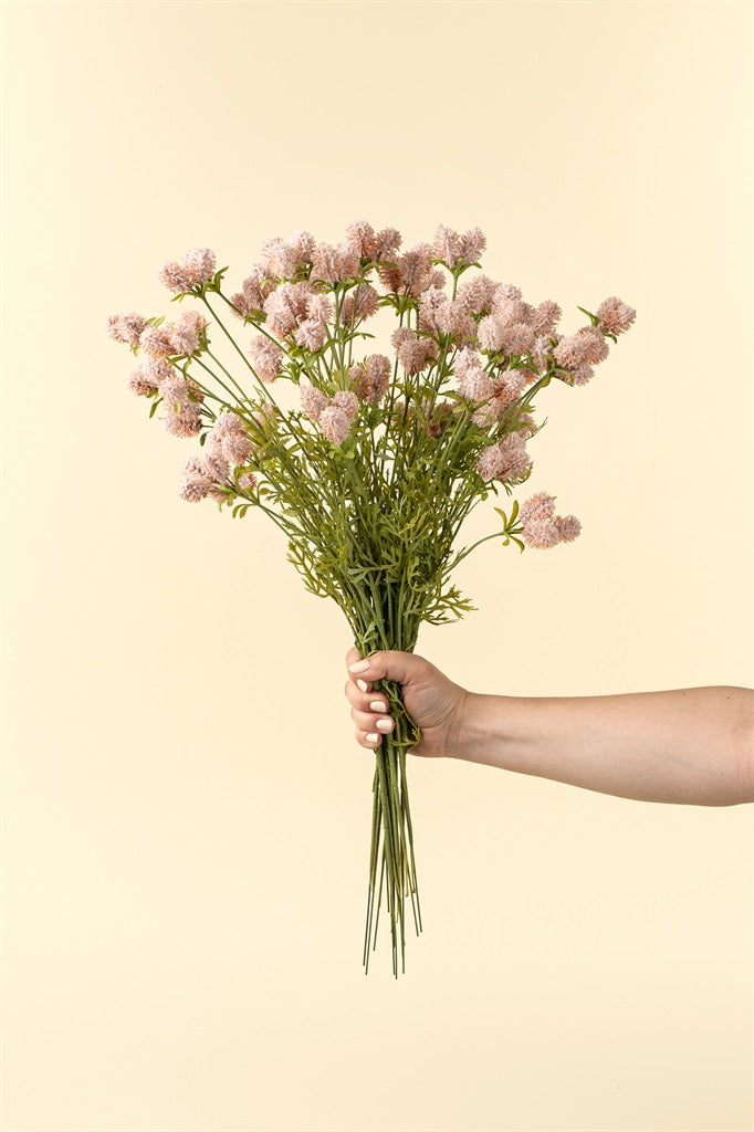 Dandelion Spray, Pink