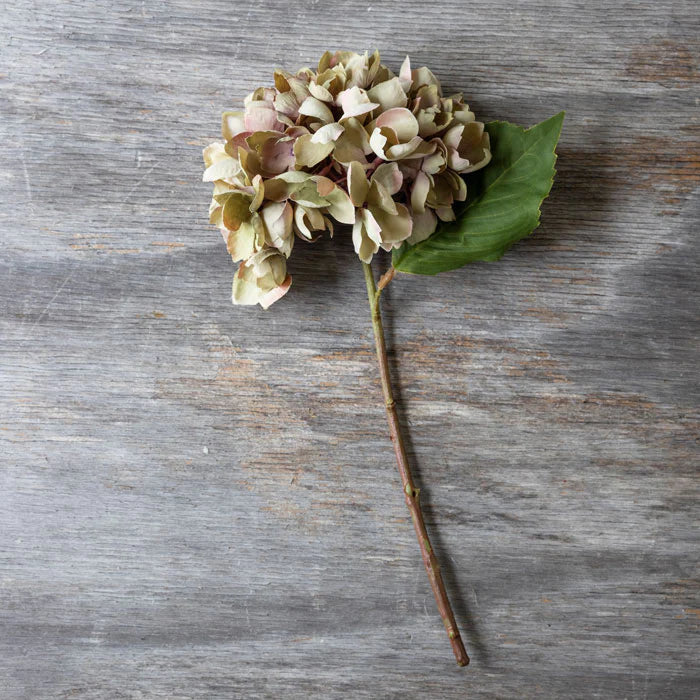 Hydrangea Dusk - Artificial Flower