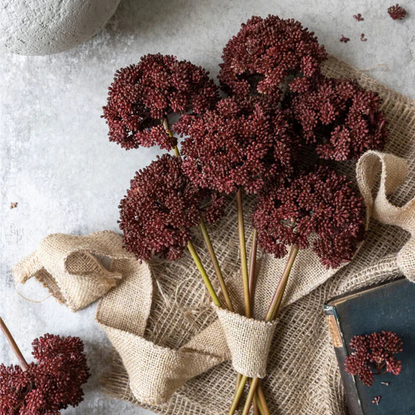 Sedum Crimson - Artificial Stem