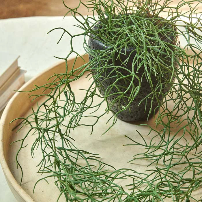 Trailing Asparagus Fern - Artificial Flower
