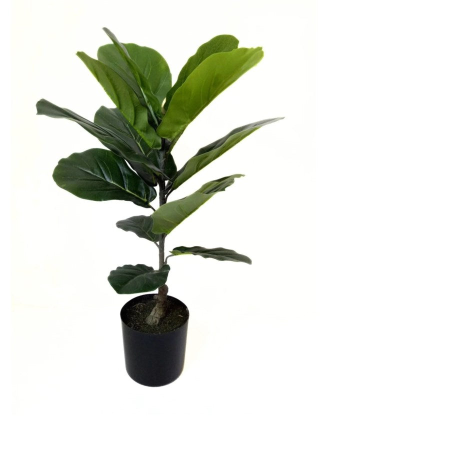 Fiddle Tree 2'- Artificial Plant