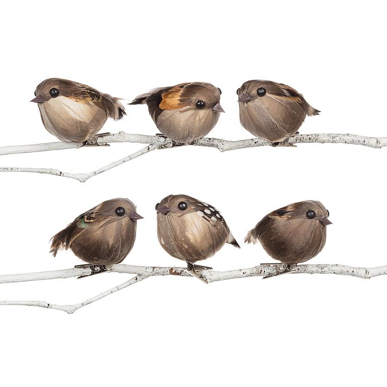 Plump Bird Clip