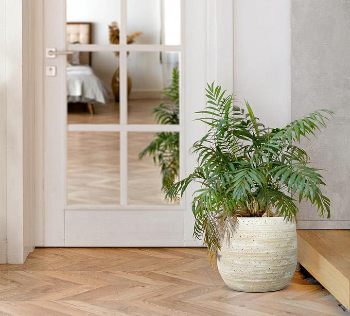 Cement Planter, Crem
