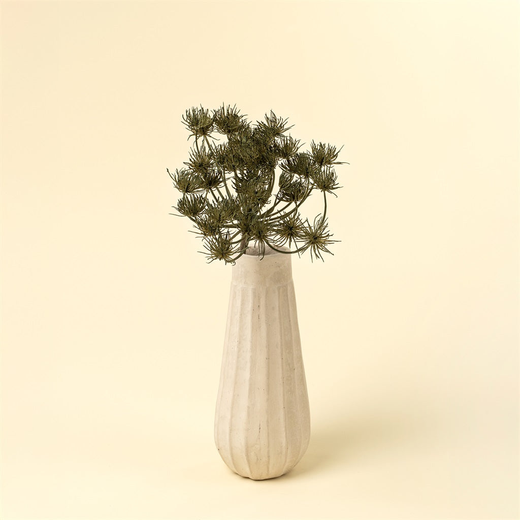 Wild Angelica Stem, Green