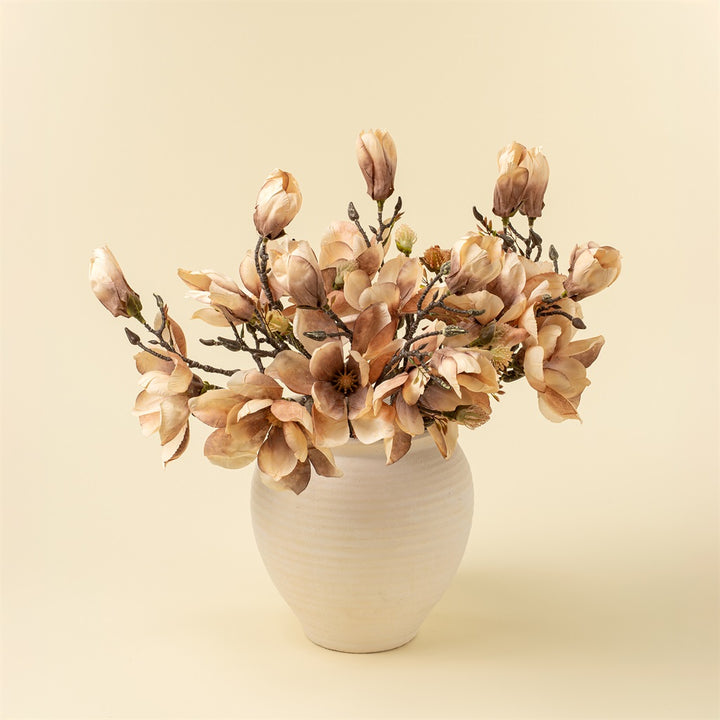 Magnolia Branch, Cream