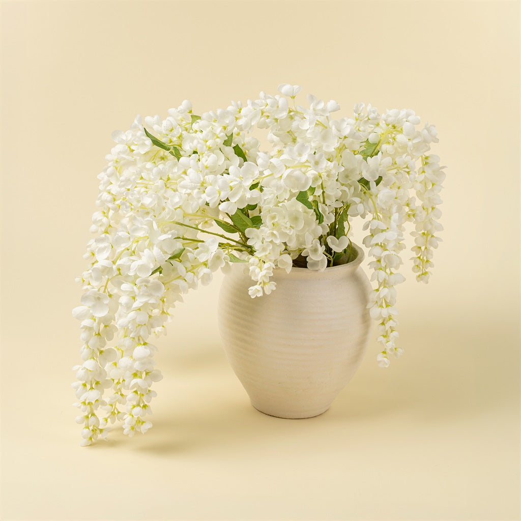 White Wisteria Cascade