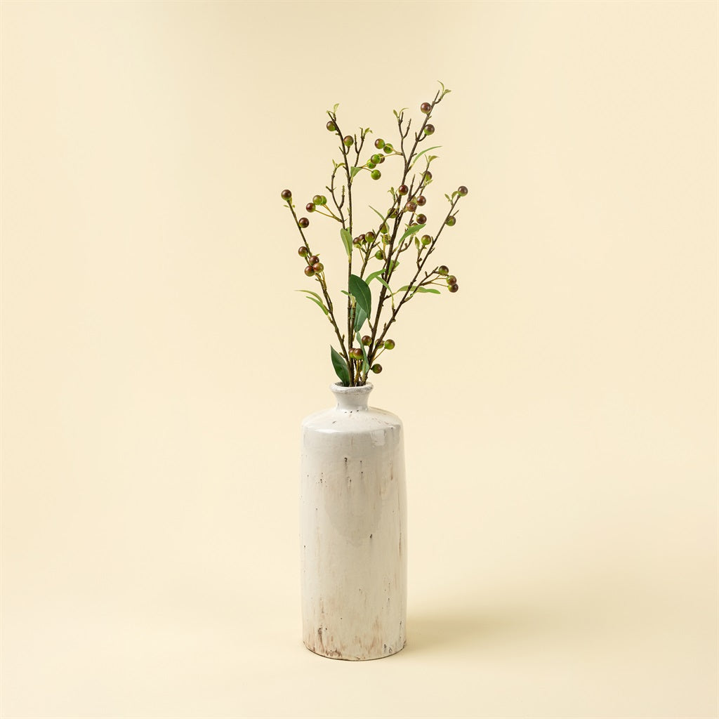 Hypericum Berry Spray