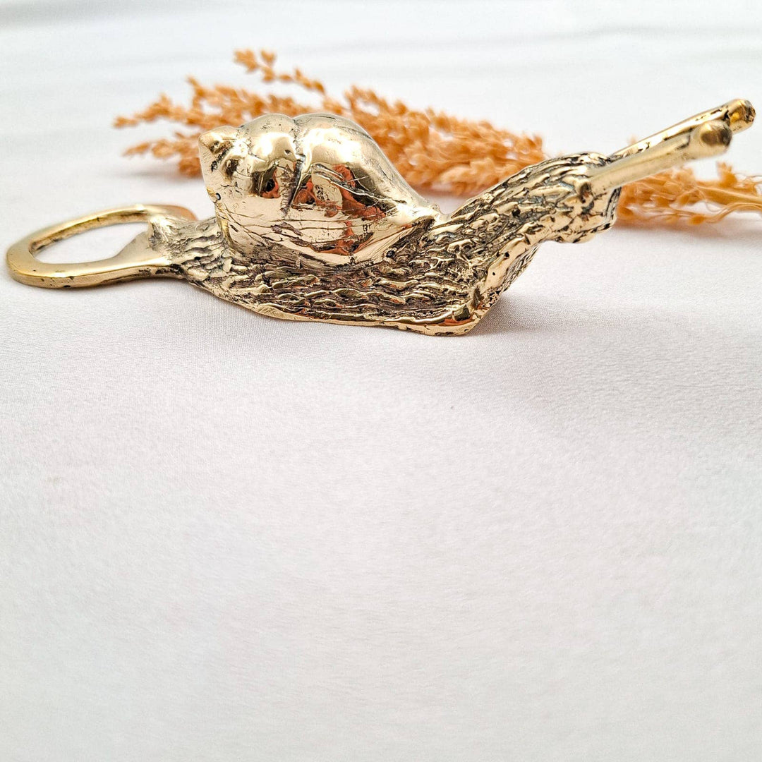 Bottle Opener Snail
