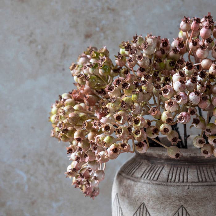 Rose Hip Bunch Blush