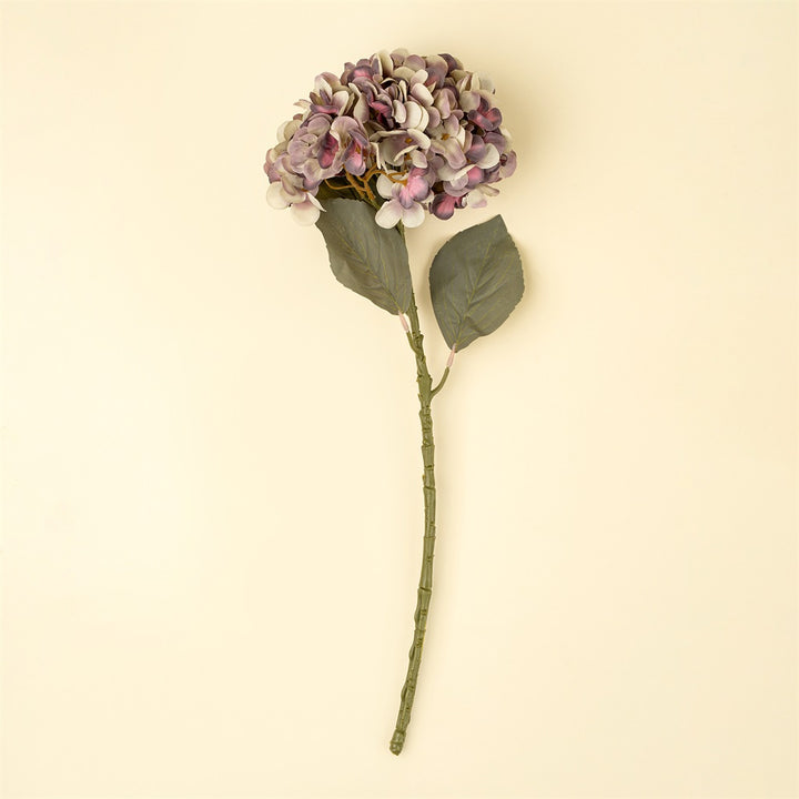 Faded Hydrangea Stem, Purple