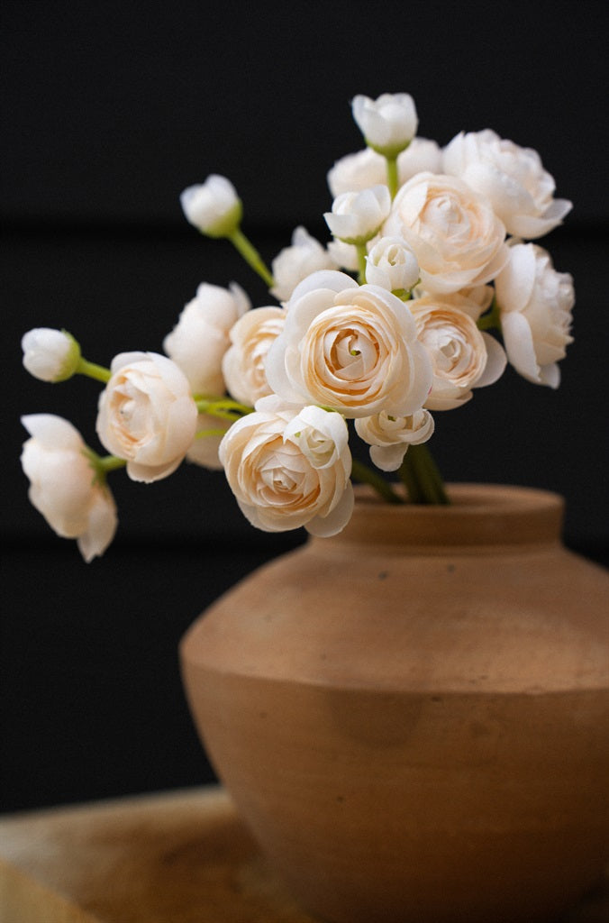 Ranunculus Bouquet, Cream