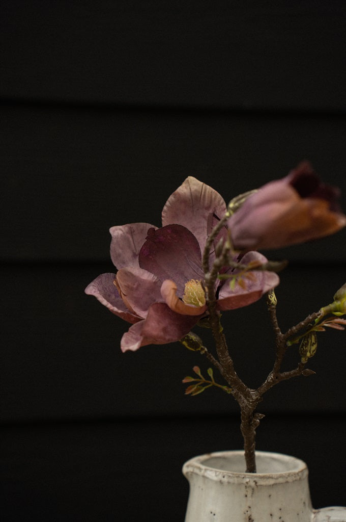 Magnolia Branch, Purple