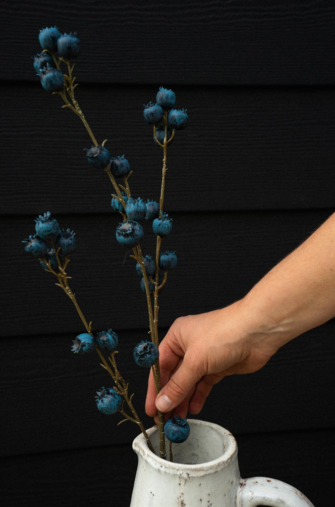 Blueberry Branch