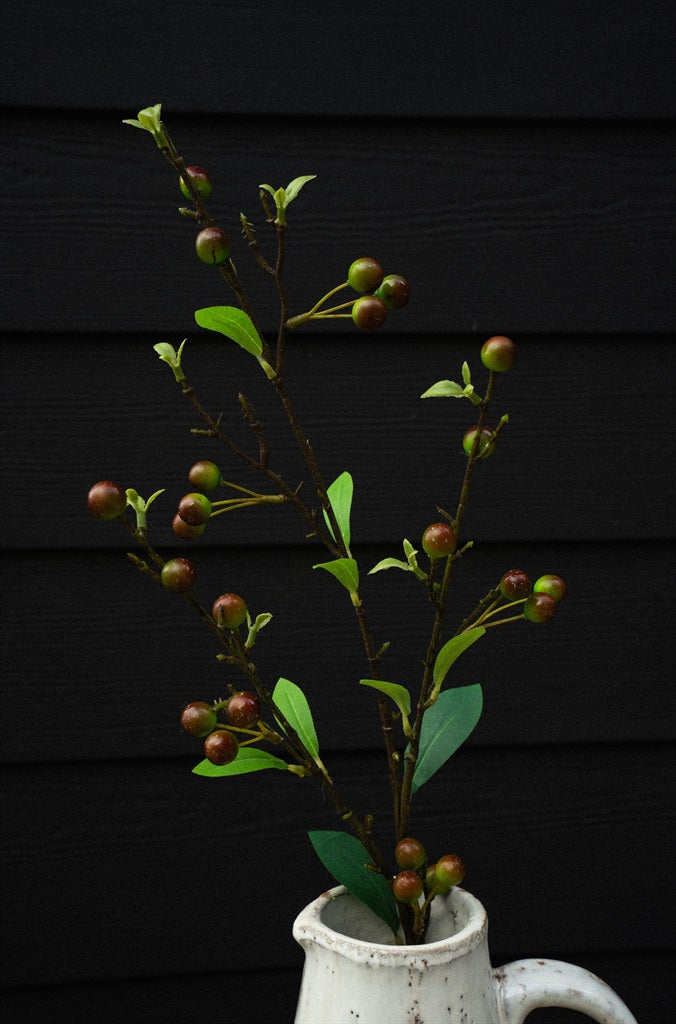 Hypericum Berry Spray
