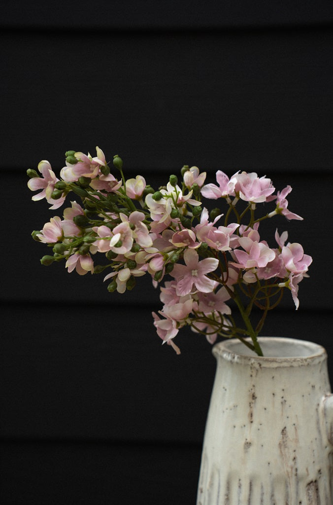 Delphinium Stem, Pink