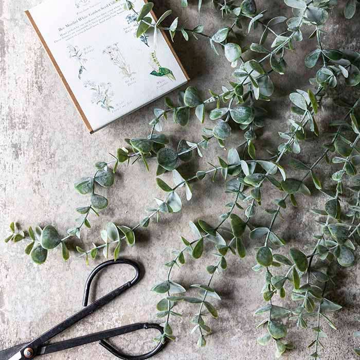 Eucalyptus Trailing Stem (Long) - Artificial Flower