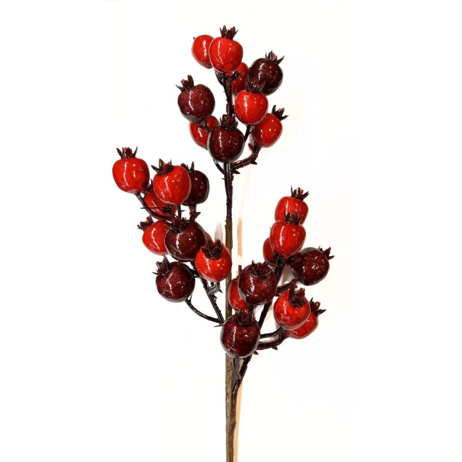 Lingonberry Spray
