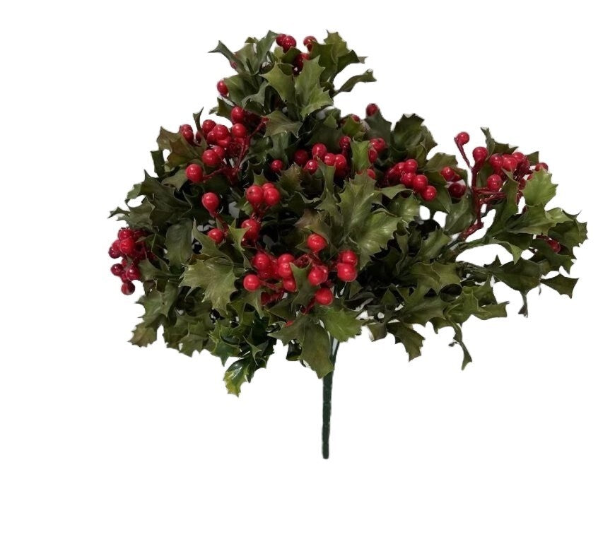 Holly Bush