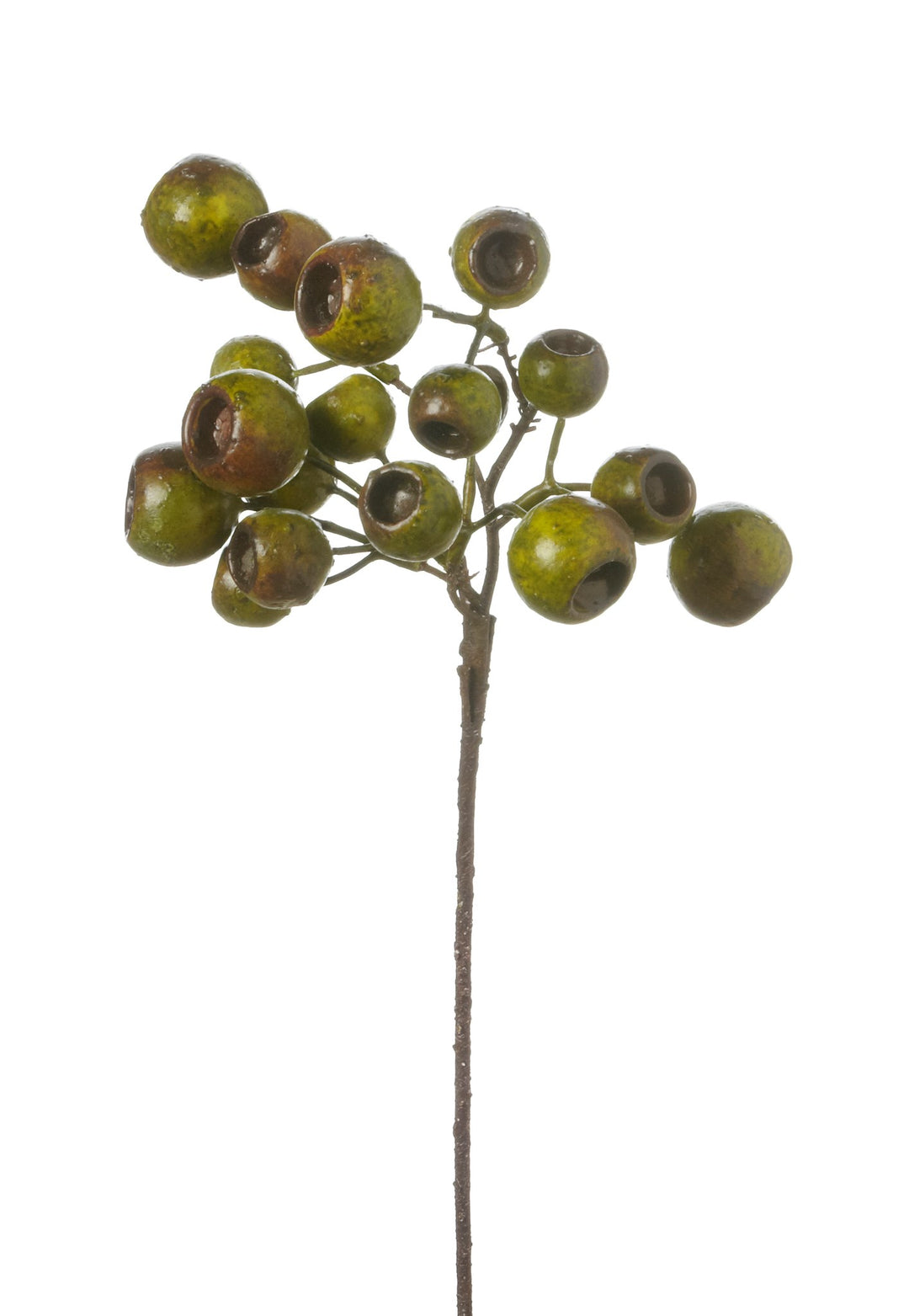 Lychee Pod