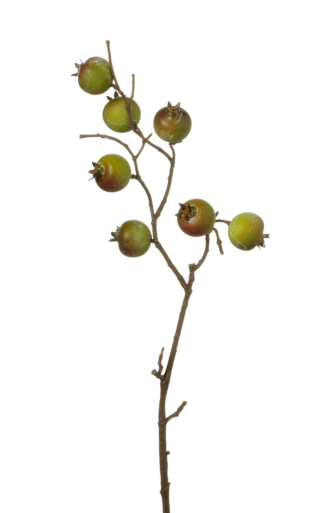 Crabapples Spray, Small