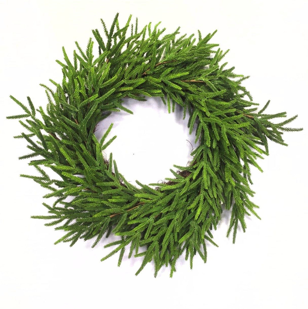28" Norfolk Pine Wreath
