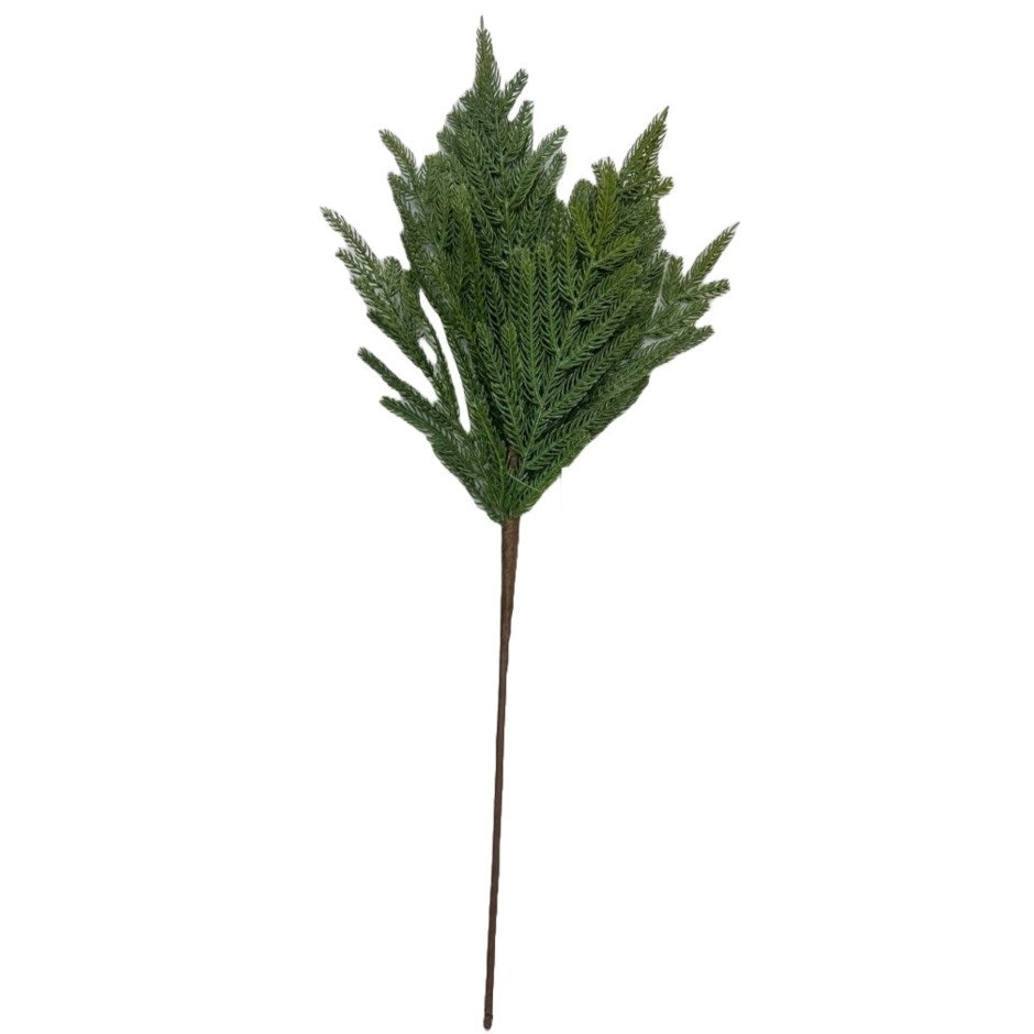 Norfolk Pine Spray