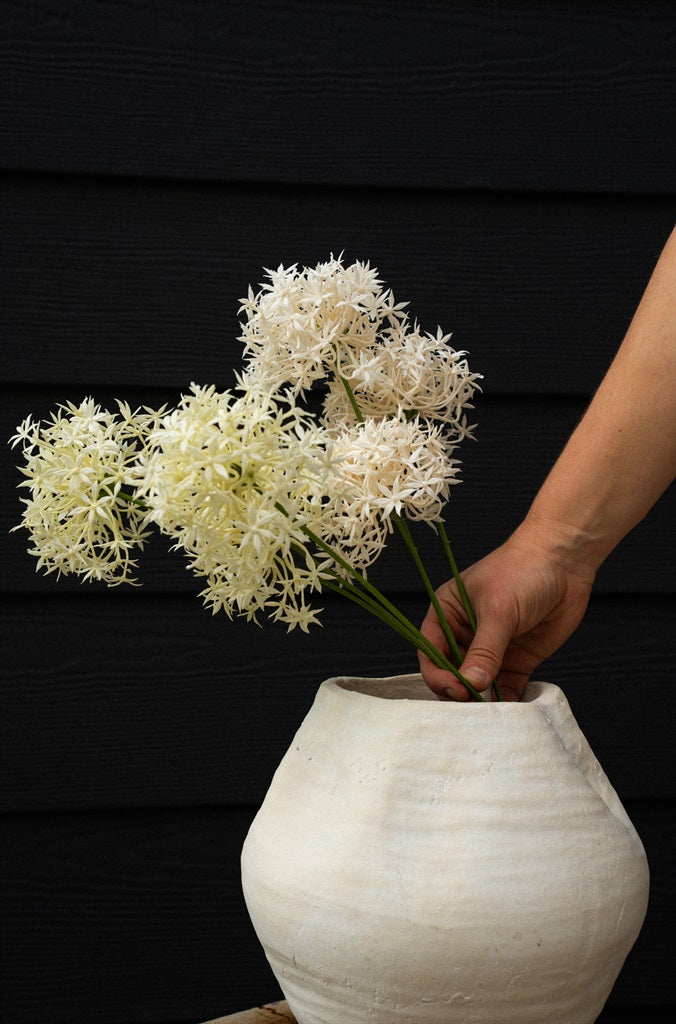 Allium Floral Spray, Champagne