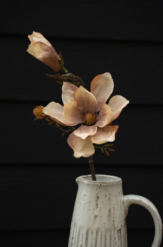 Magnolia Branch, Cream