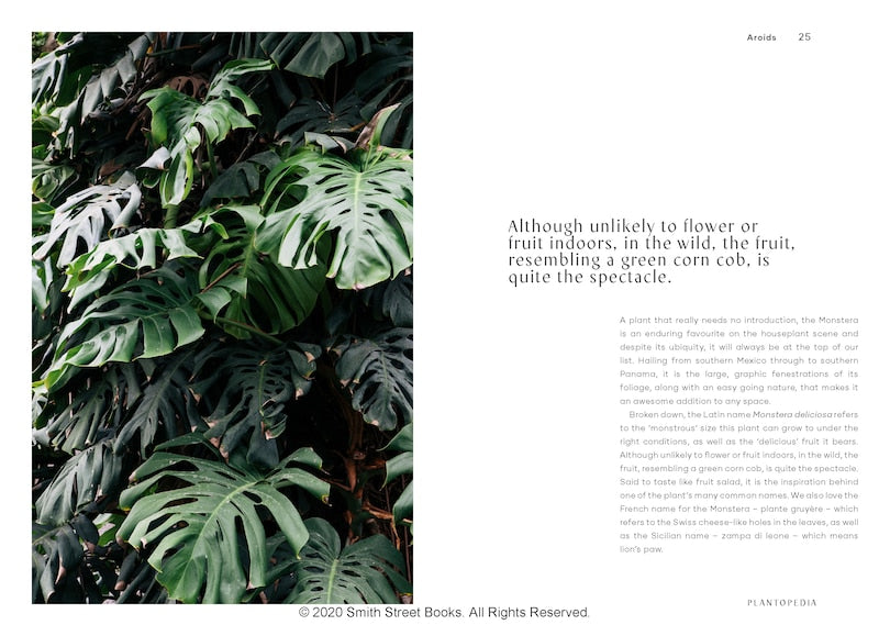 Plantopedia: The Definitive Guide To Houseplants