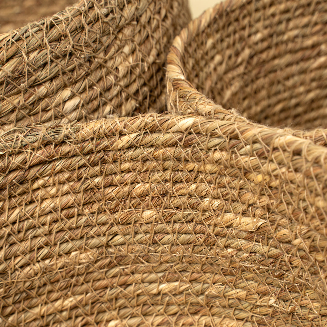 Costa Basket