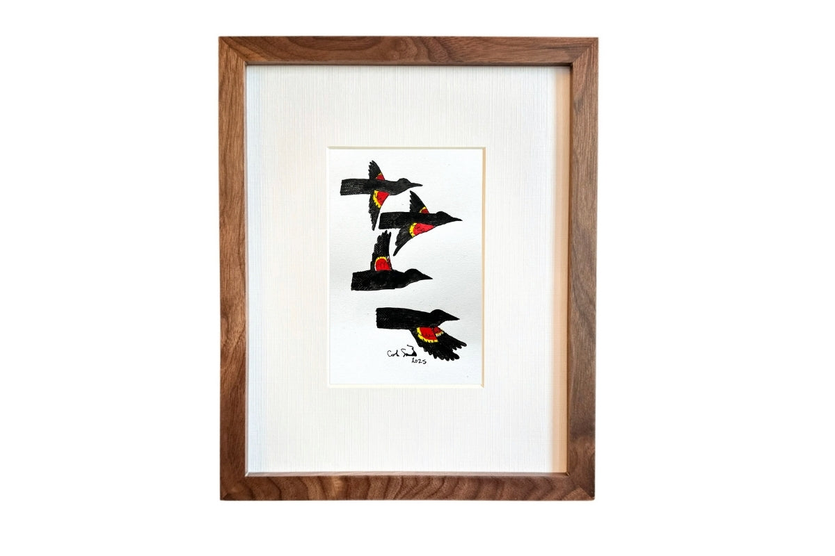 Red Winged Blackbird 5 by Colin Smith | Tuck Studio – TUCK