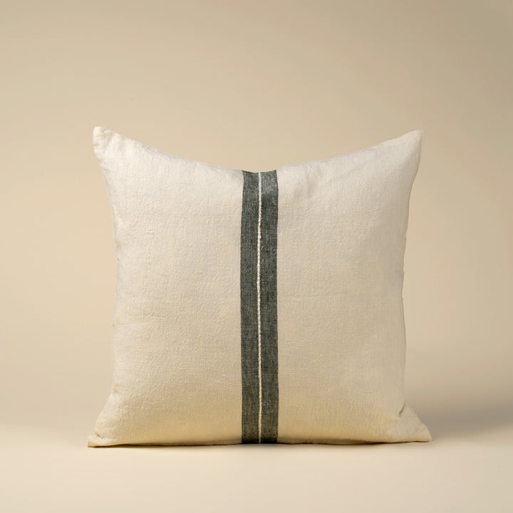 Emmett Cushion 20x20
