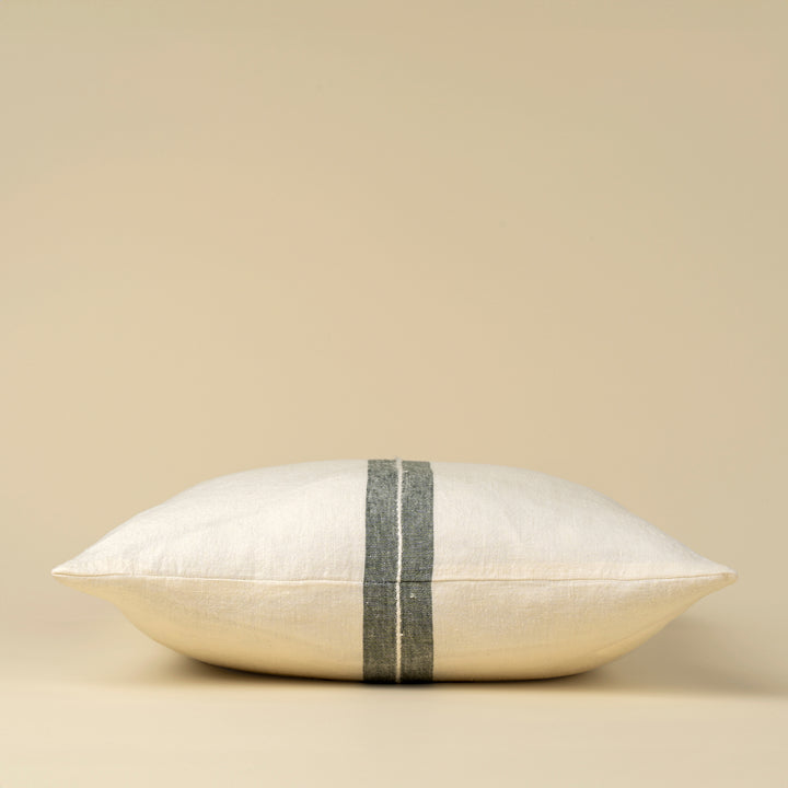 Emmett Cushion 20x20