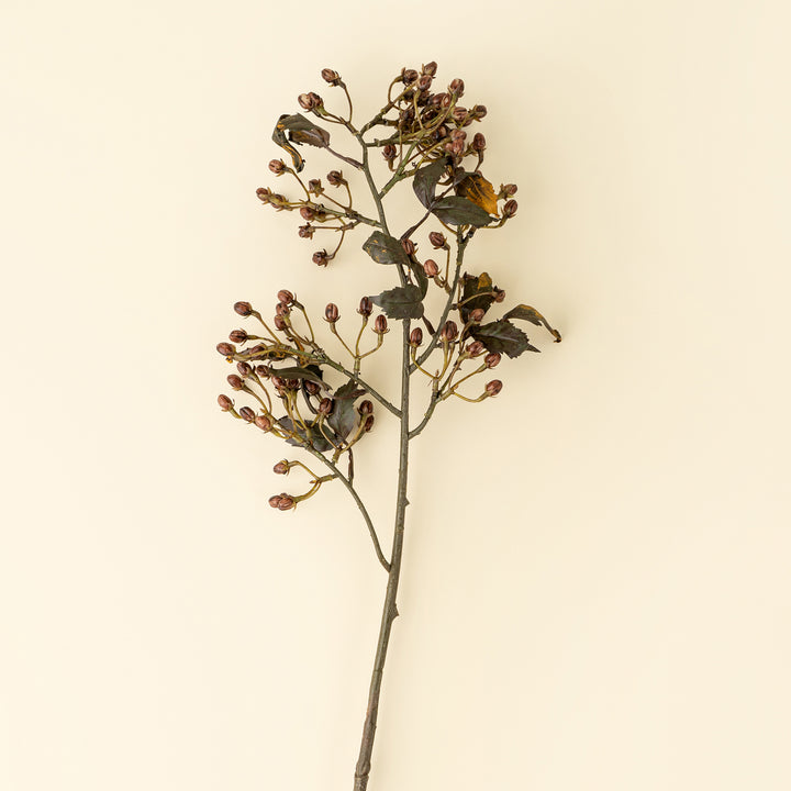 Hipericum Spray