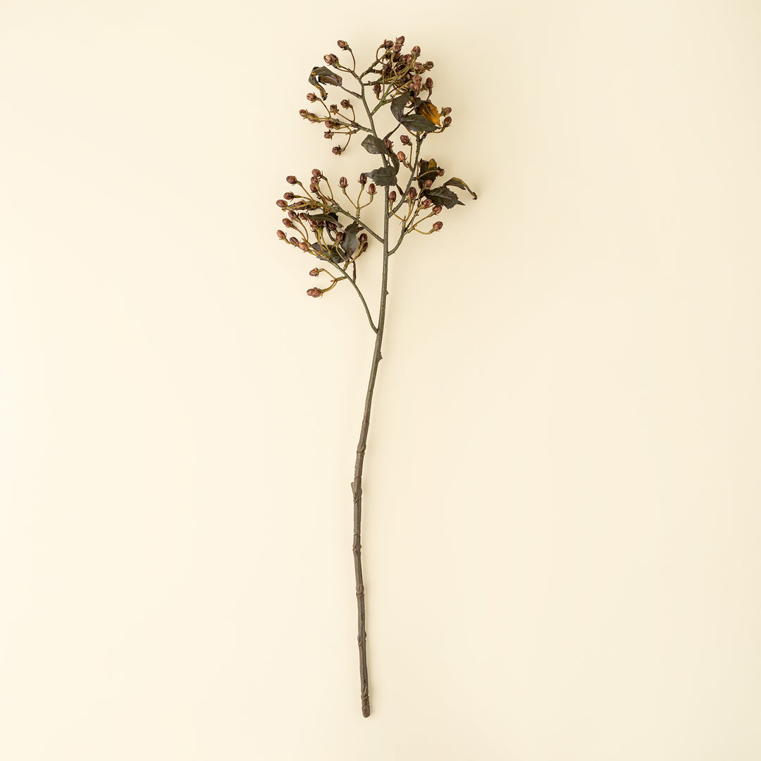 Hipericum Spray