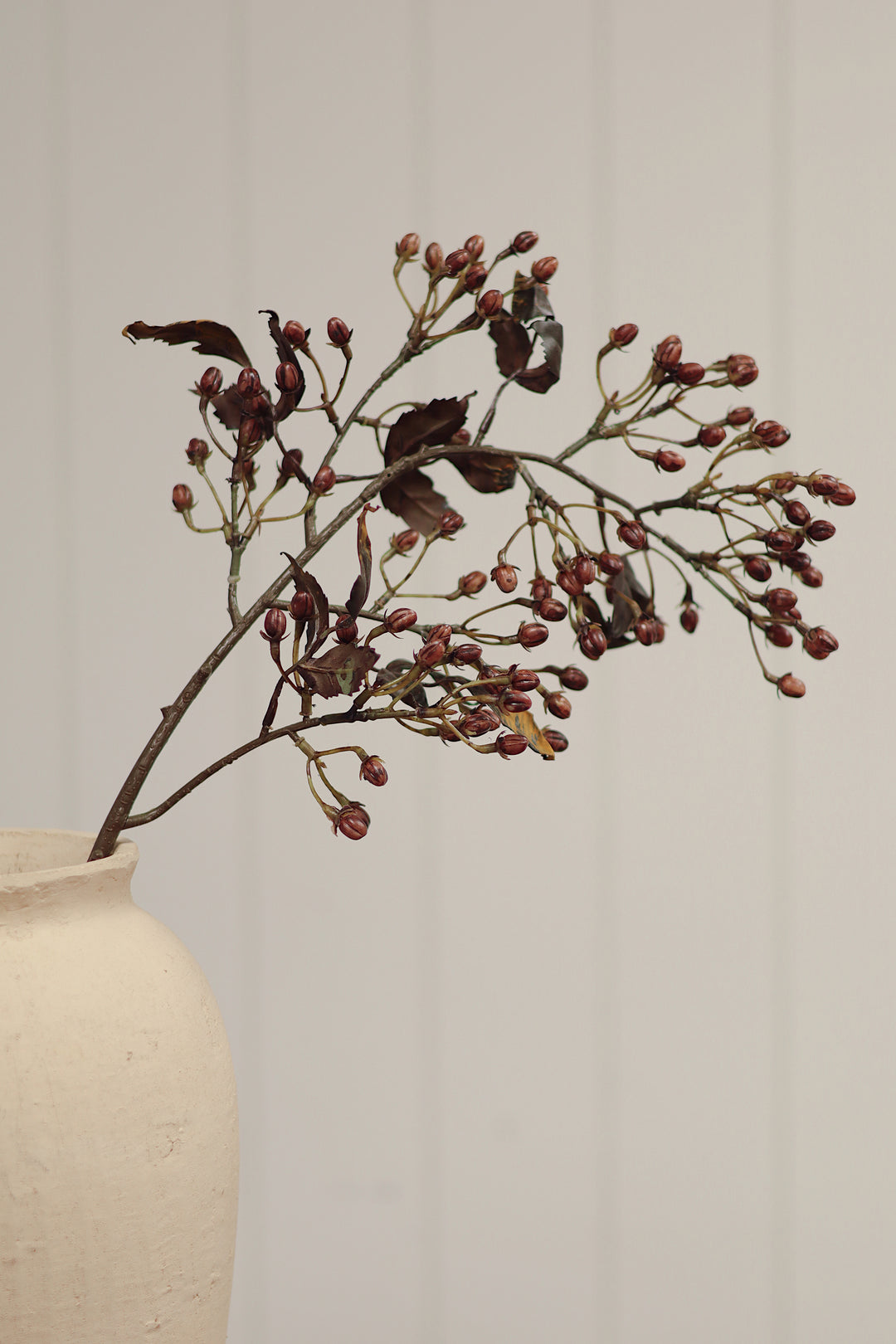 Hipericum Spray