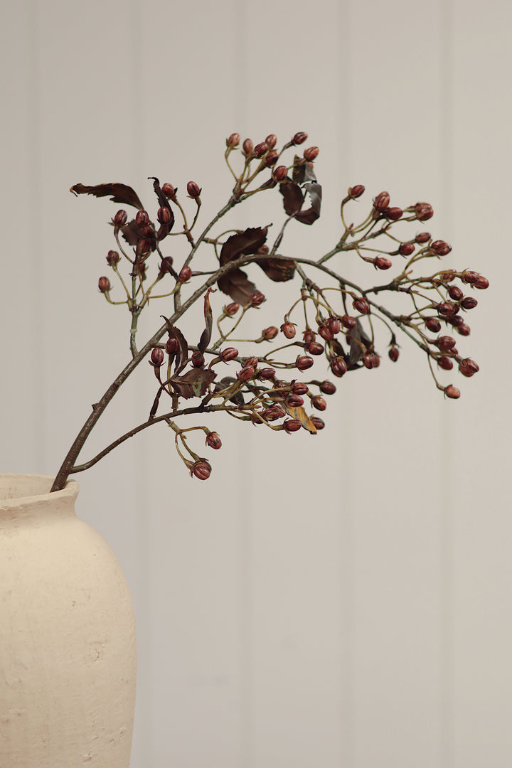 Hipericum Spray