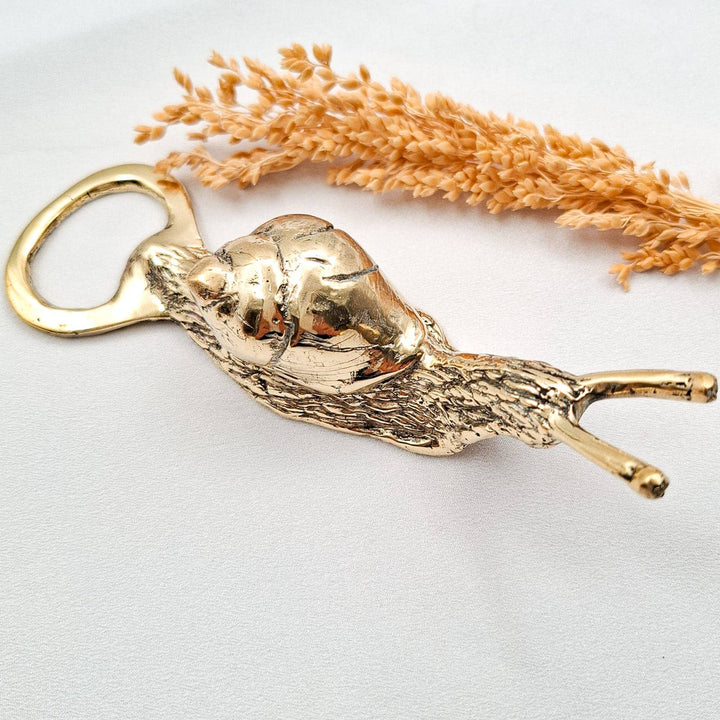 Bottle Opener Snail