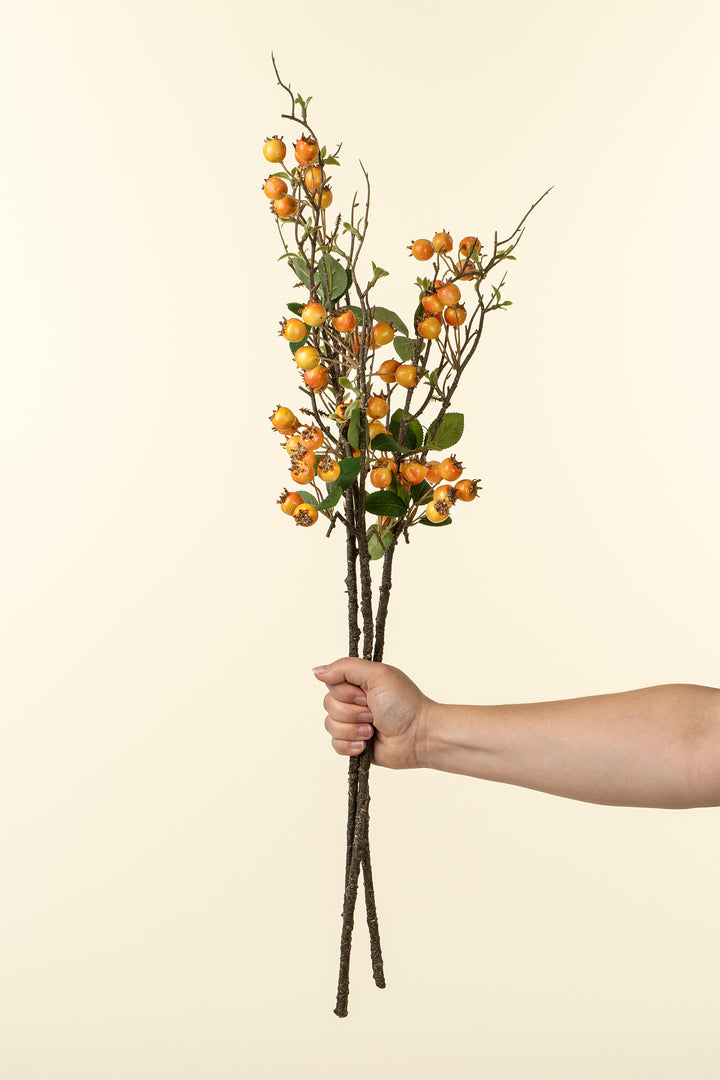 Rosehip Branch, Orange