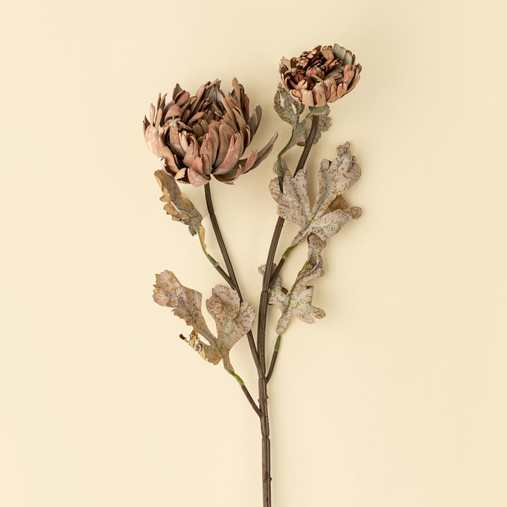Dahlia Spray, Brown