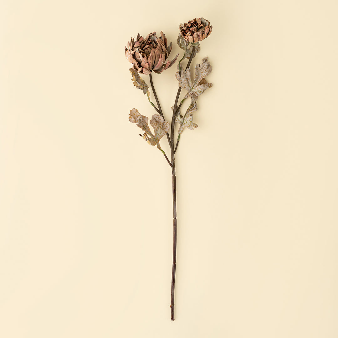 Dahlia Spray, Brown